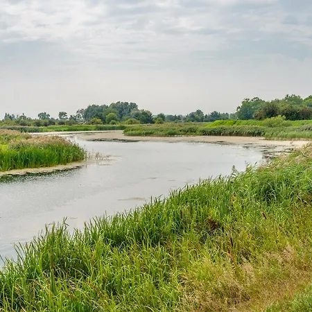 Front Park, Sun & Snow * גדנסק